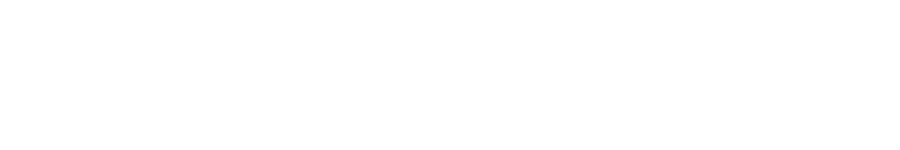 Vintyj Network